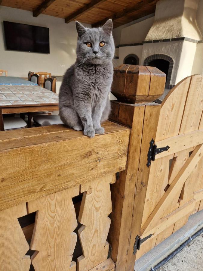 Hotel Casa De Langa Padure Syhot Marmaroski Zewnętrze zdjęcie