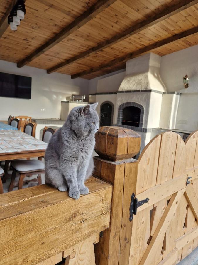 Hotel Casa De Langa Padure Syhot Marmaroski Zewnętrze zdjęcie